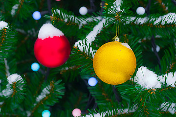 Image showing Yellow and red Christmas balls on fir branch in snow. Christmas 