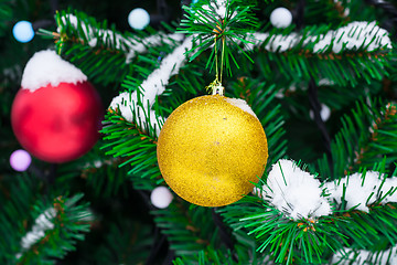 Image showing Yellow and red Christmas balls on fir branch in snow. Christmas 