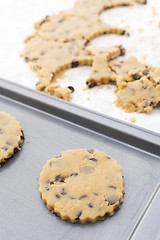 Image showing Chocolate chip cookie on baking sheet