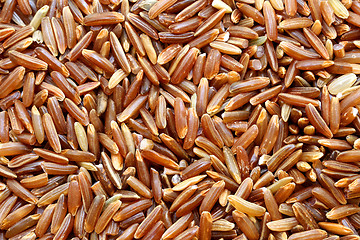 Image showing Delicious red rice