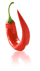 Image showing Fresh Red Hot Chili Pepper.