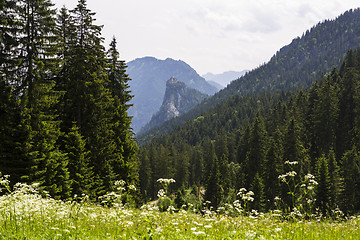 Image showing Mountain Kofel in the Bavarian Alps