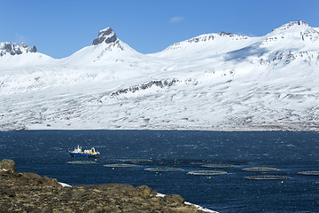 Image showing Fishing cutter