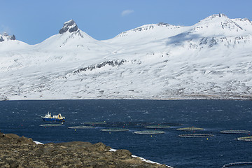 Image showing Fishing cutter