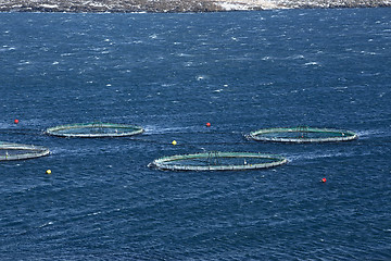 Image showing Fishing cutter