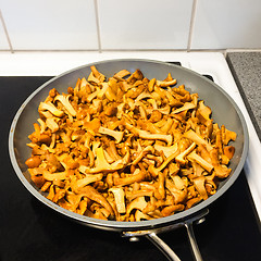 Image showing Fried chanterelle mushrooms