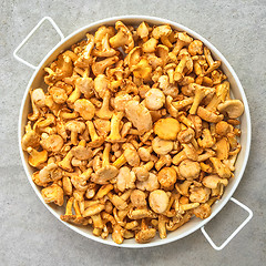 Image showing Tray with chanterelle mushrooms