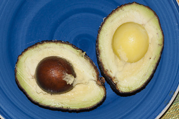 Image showing avocado