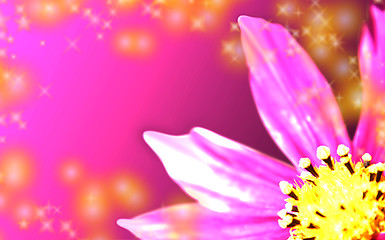 Image showing Pink flower