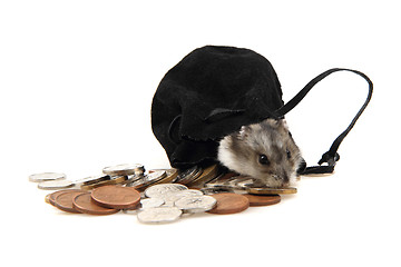 Image showing dzungarian hamster and czech coins