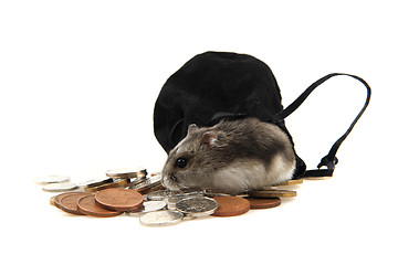 Image showing dzungarian hamster and czech coins