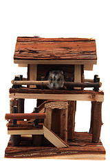 Image showing natural wooden house toy with dzungarian hamster