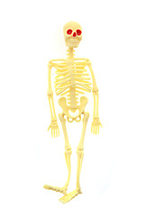 Image showing small human skeleton 