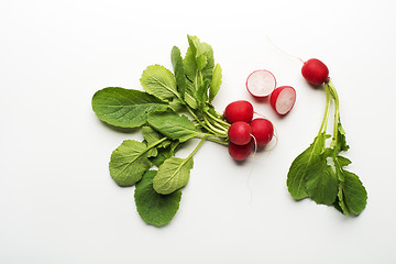 Image showing Radishes