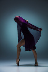 Image showing The beautiful ballerina dancing with blue veil