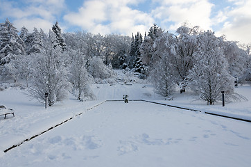 Image showing winter in sweden with snow on the tree