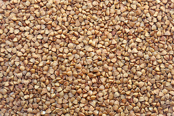 Image showing Delicious buckwheat photographed