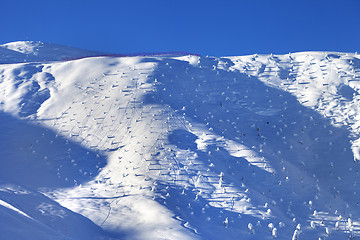 Image showing Off-piste slope with little fir after snowfall at early morning