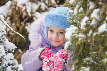 Image showing Joyful five years girl hiding in the snow-covered fur-trees