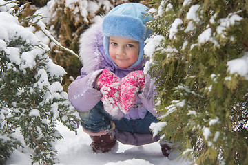 Image showing Girl hiding in the snow-covered fur-trees