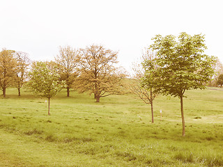 Image showing Primrose Hill London vintage