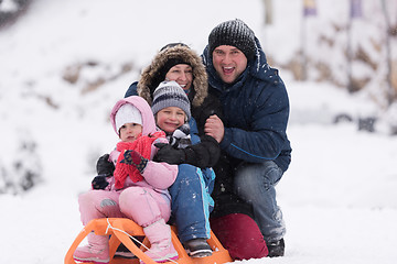 Image showing family portrait on winter vacation