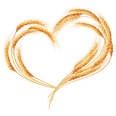 Image showing Wheat ears Heart isolated on the white. EPS 10