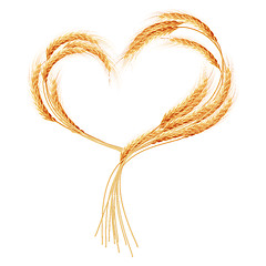 Image showing Wheat ears Heart isolated on the white. EPS 10
