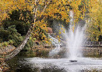 Image showing Fountain at Botanical Garden in Wroclaw 