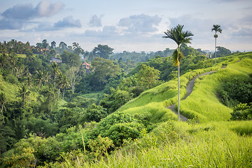 Image showing Ubud Bali