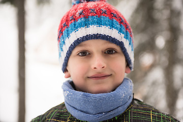 Image showing little boy having fun on winter day