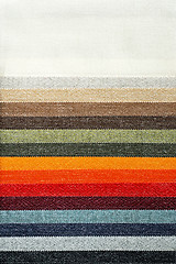 Image showing Carpet palette