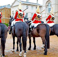 Image showing for    the queen in london england horse and cavalry 