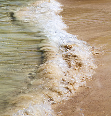 Image showing thailand  phangan bay abstract of a gold in water    