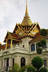 Image showing  thailand asia   in  bangkok rain  temple abstract plant tree   