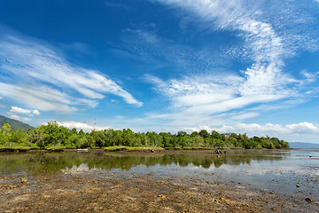 Image showing mangrove tree North Sulawesi, Indonesia