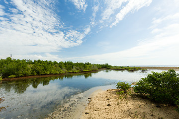 Image showing Indonesian landscape with mangrove and walkway