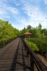 Image showing Indonesian landscape with mangrove and walkway