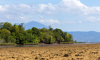 Image showing Indonesian landscape with mangrove and walkway