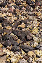 Image showing stones and coral in low tide, indonesia