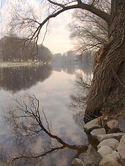 Image showing early morning at the river in tartu, estonia