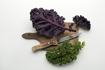 Image showing Kale leaf