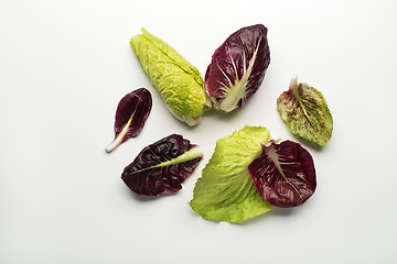 Image showing Salad leaves