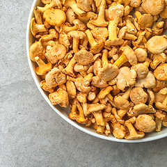 Image showing Plate with fresh chanterelle mushrooms