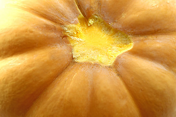 Image showing tasty vegetable pumpkin 