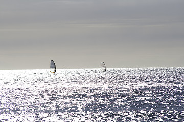 Image showing Windsurf in to the sun