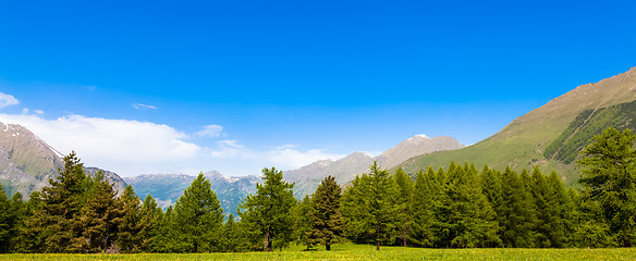 Image showing Italian Alps