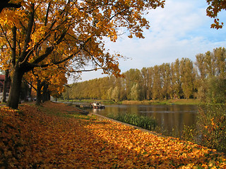 Image showing autumn view at the river in tartu, estonia