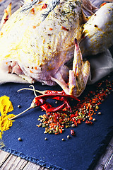 Image showing Chicken in spices and seasonings