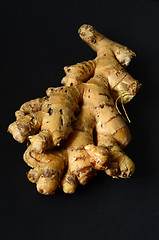 Image showing Ginger root closeup 